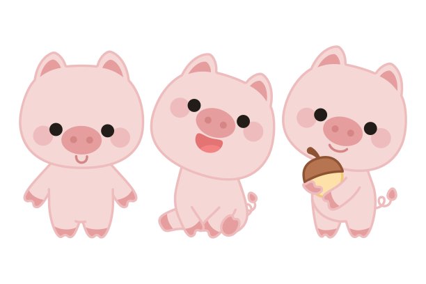 pig