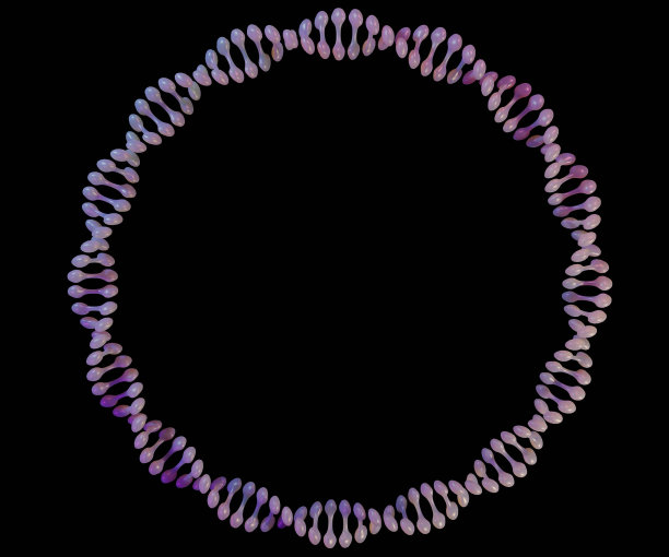 rna
