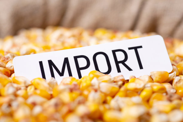 maize
