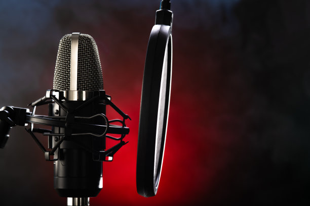 voice