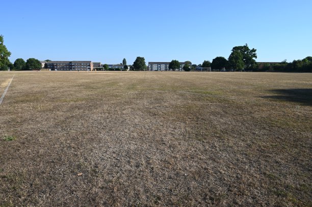 surrey