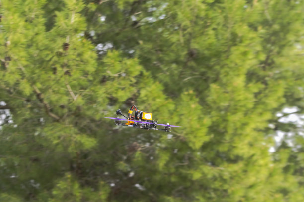 fpv