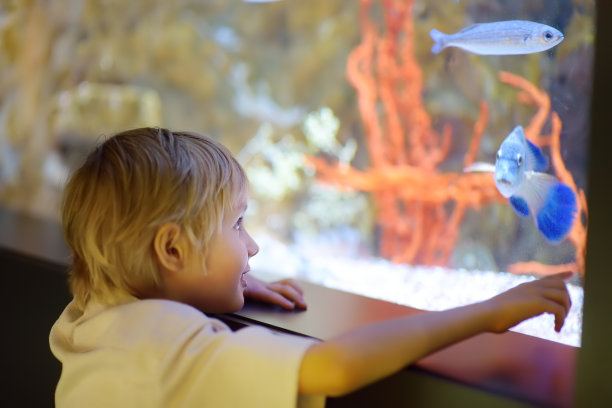 aquarium