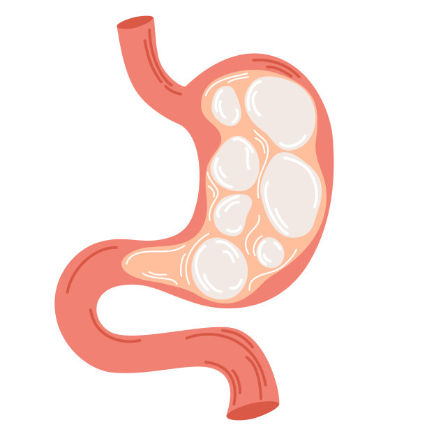 digestion