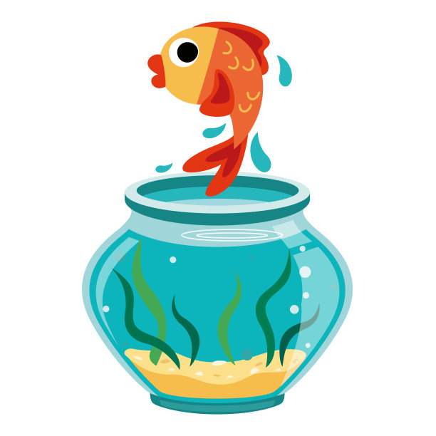 水族馆,海洋生命,野生动物