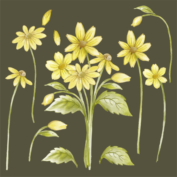 花型设计春季水彩花卉手绘
