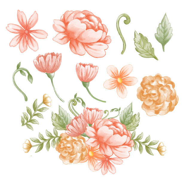 花型设计春季水彩花卉手绘