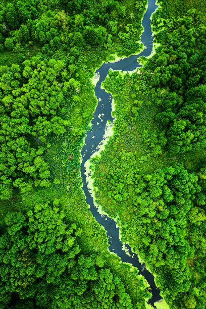 ecosystem