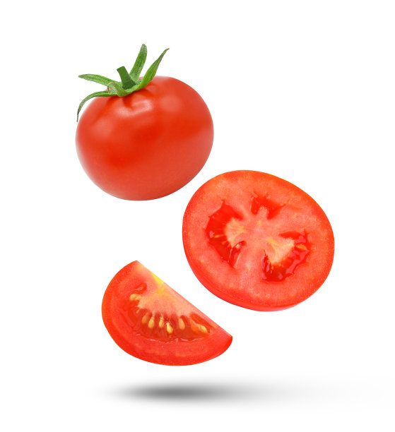 lycopersicon
