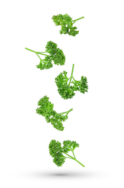 garnish