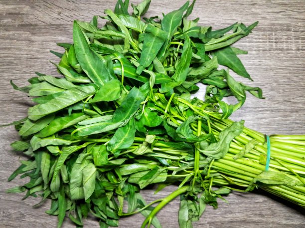 雍菜图片素材 雍菜设计素材 雍菜摄影作品 雍菜源文件下载 雍菜图片素材下载 雍菜背景素材 雍菜模板下载 - 搜索中心