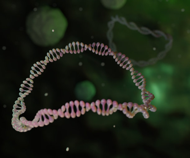 rna