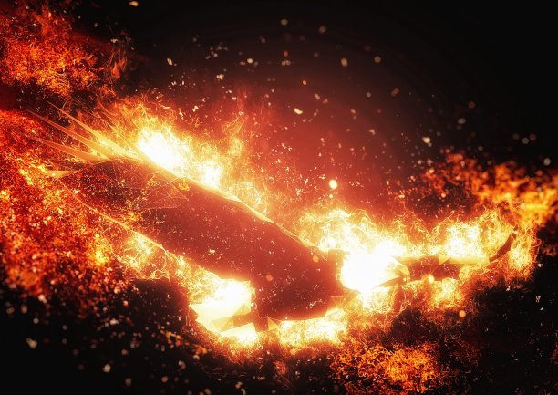 金红色凤凰插画