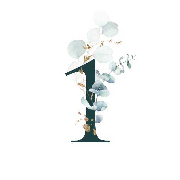 no1logo