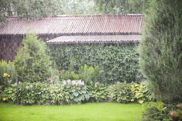 drizzle