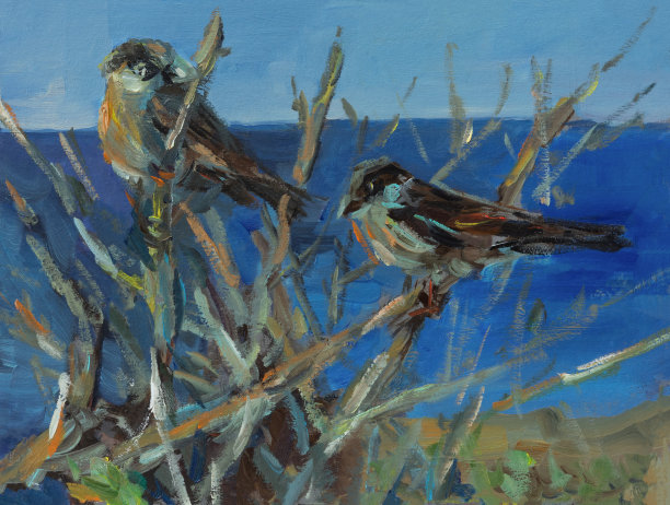 sparrow