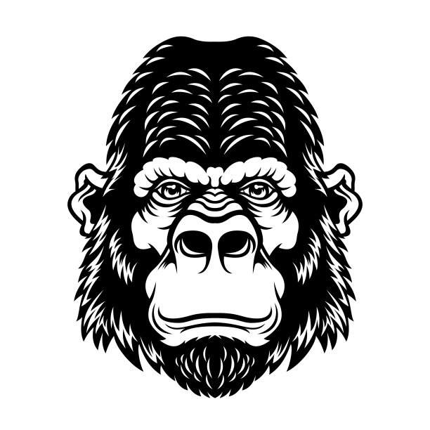 pongo