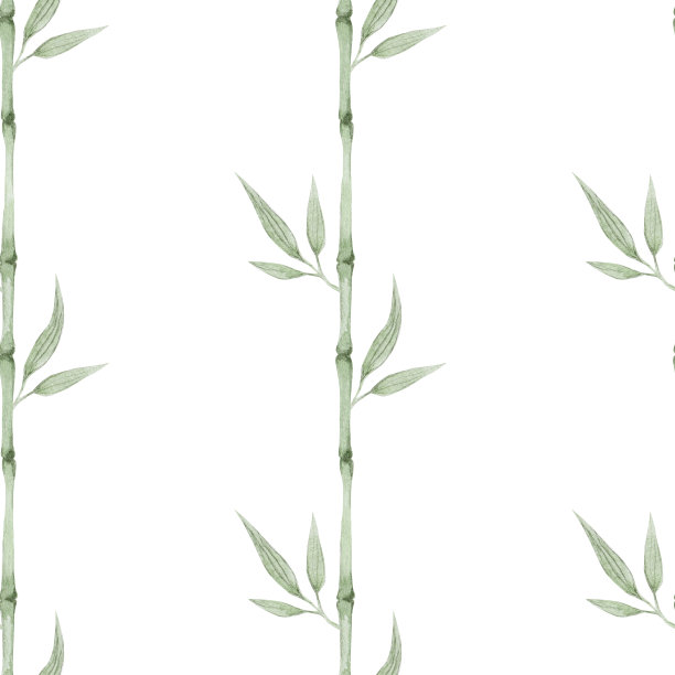叶子,植物学,植物