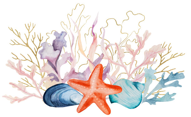 corals
