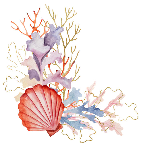 corals