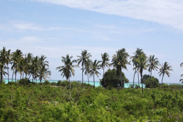 tanzania