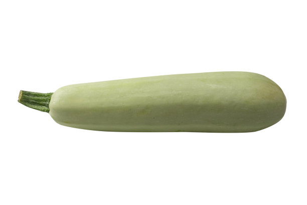 courgette