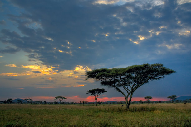 tanzania
