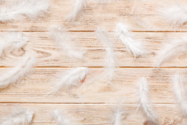 preen