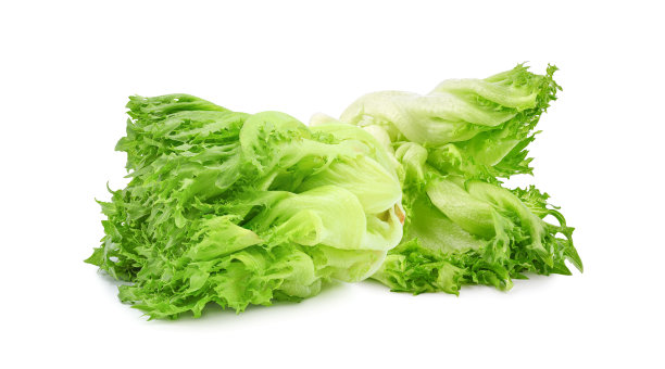 romaine