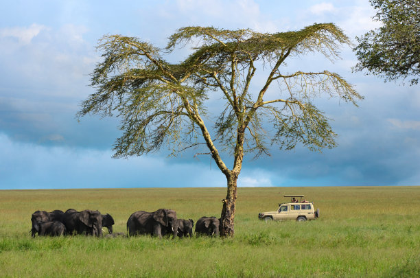 tanzania