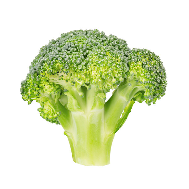 supplement