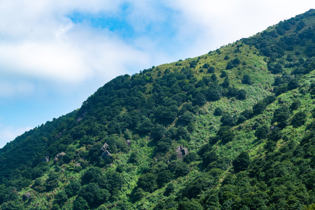 峡谷风光峭壁绿植蓝天