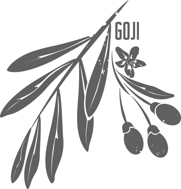 枸杞果中药材