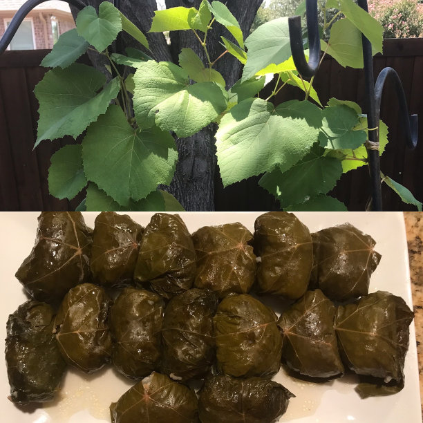 dolmades