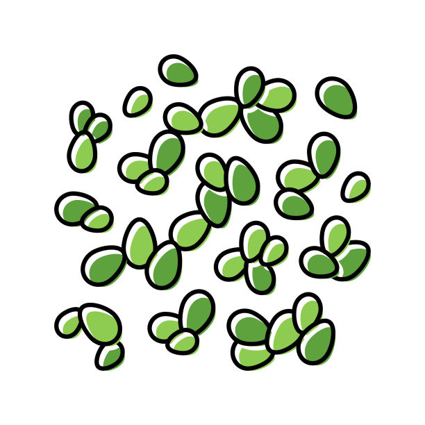 duckweed