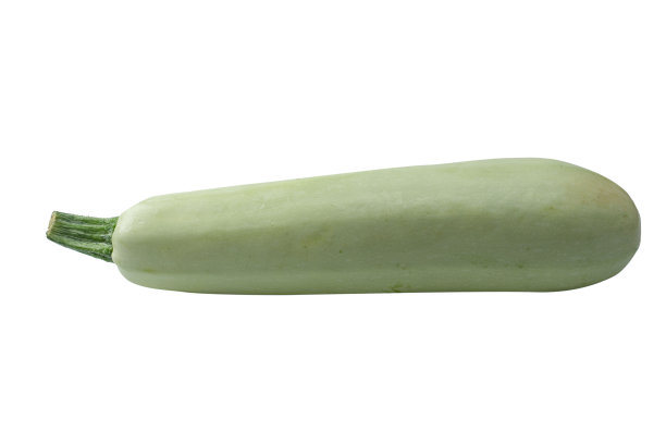 courgette