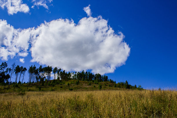 户外蓝天白云草地树林图片