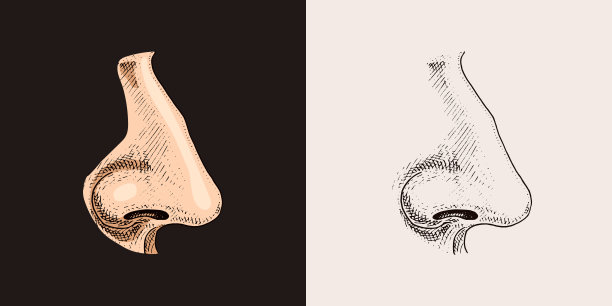 nose