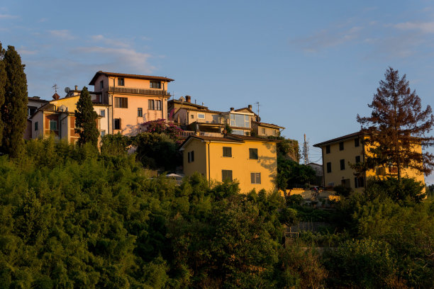 viareggio