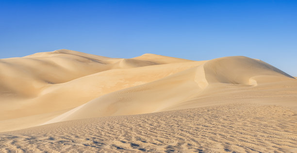 desert