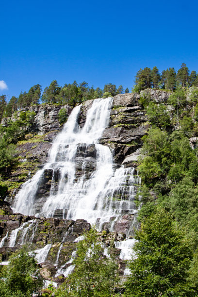 voss