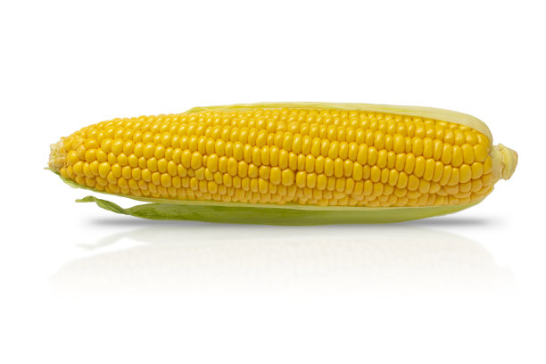maize