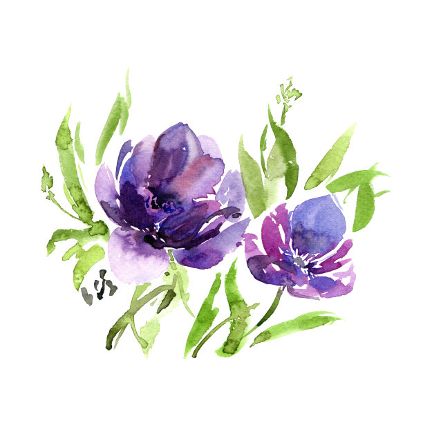 请柬,三色堇,花簇