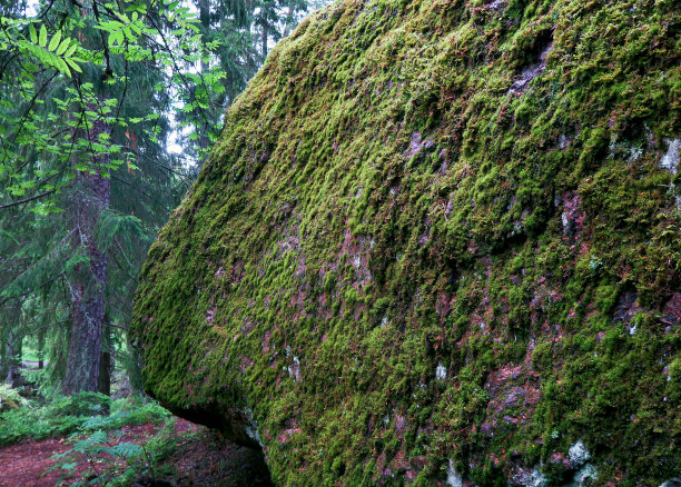 boulder