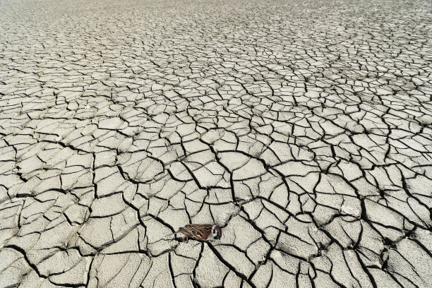 drought