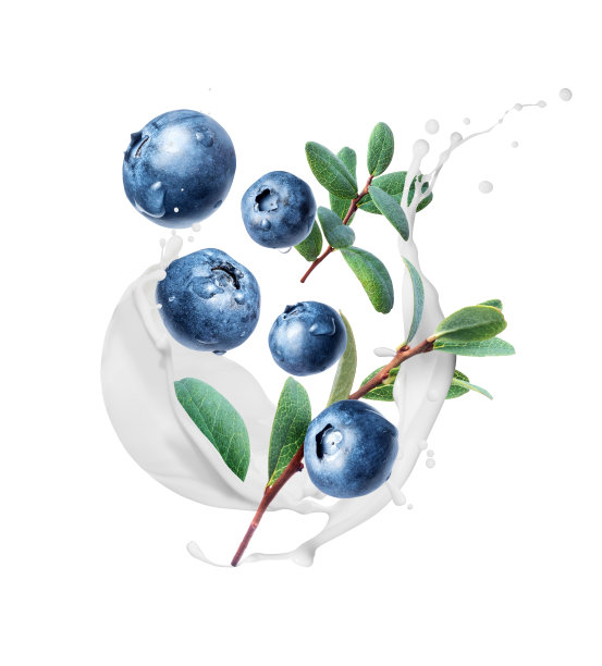 ericaceae