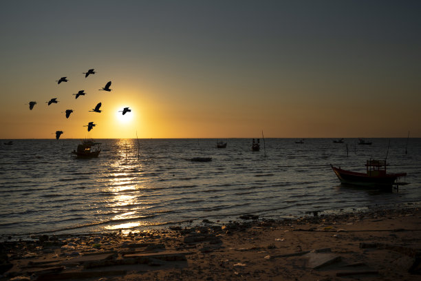 飞鸟蓝色大海壁纸