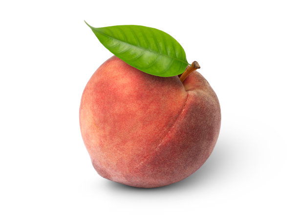 nectarine