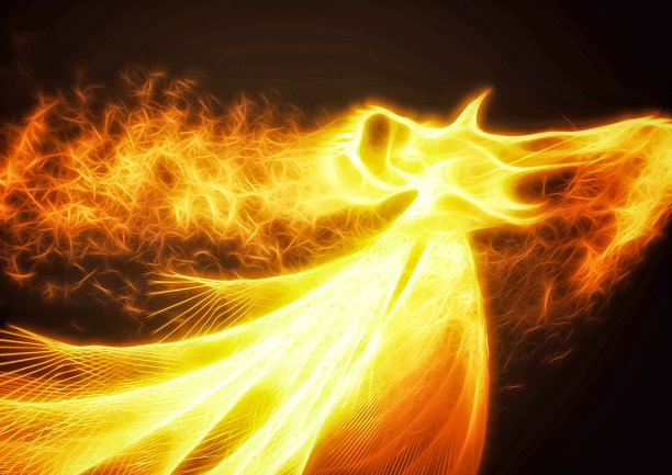 金红色凤凰插画