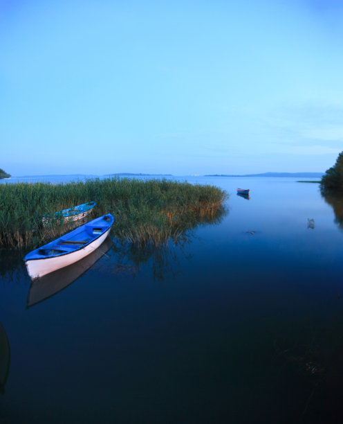 飞鸟蓝色大海壁纸